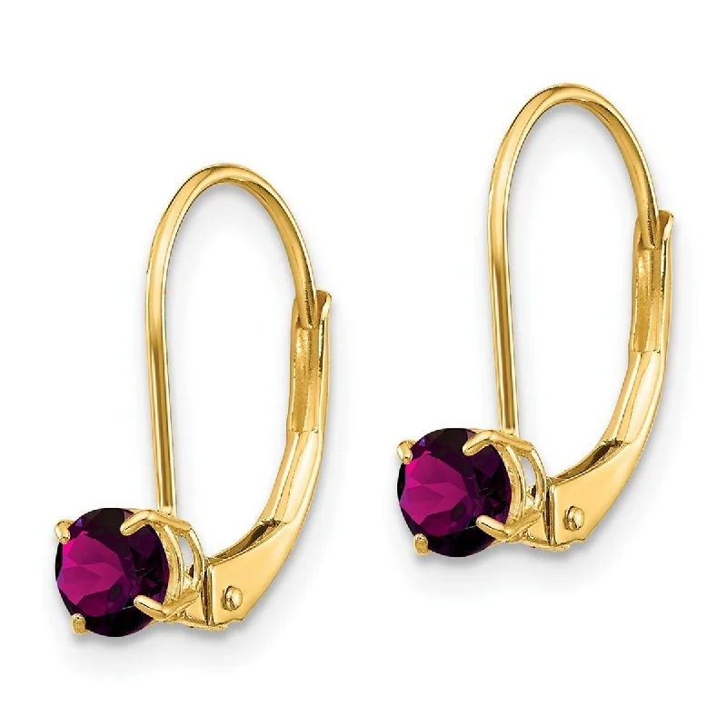 Curata 14k Yellow Gold 13x4mm Round Rhodolite Garnet Leverback Earrings